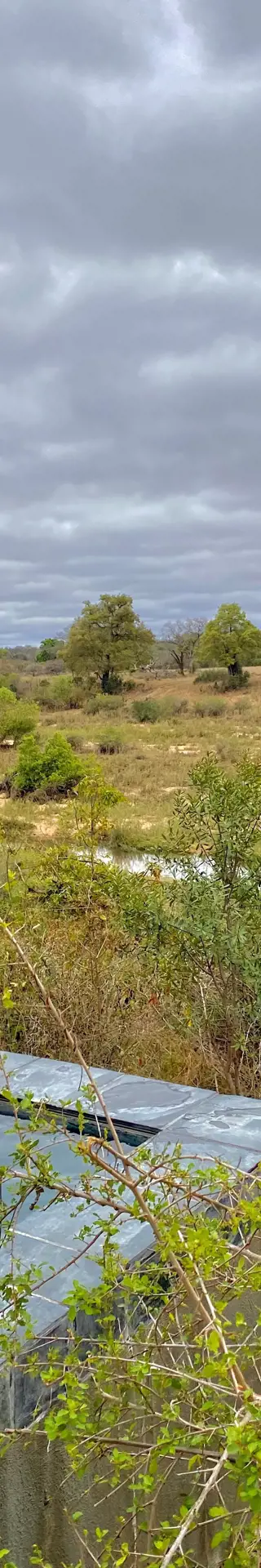 Siesta mit Tierbeobachtung